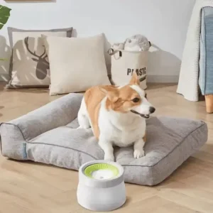 Gamelle Anti-Éclaboussures 1,1 L pour chiens et chats